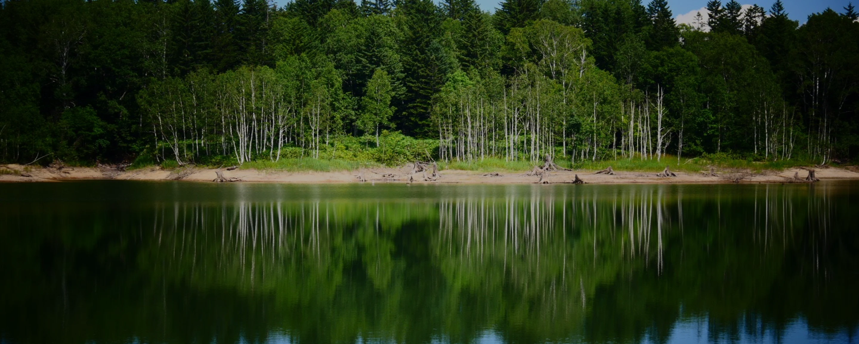 Japanese nature landscape